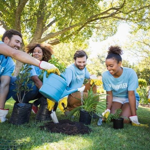 fondation-yggdrasil-volontaire-plante-arbre