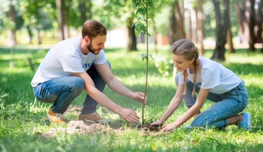 planter-arbre-fondation